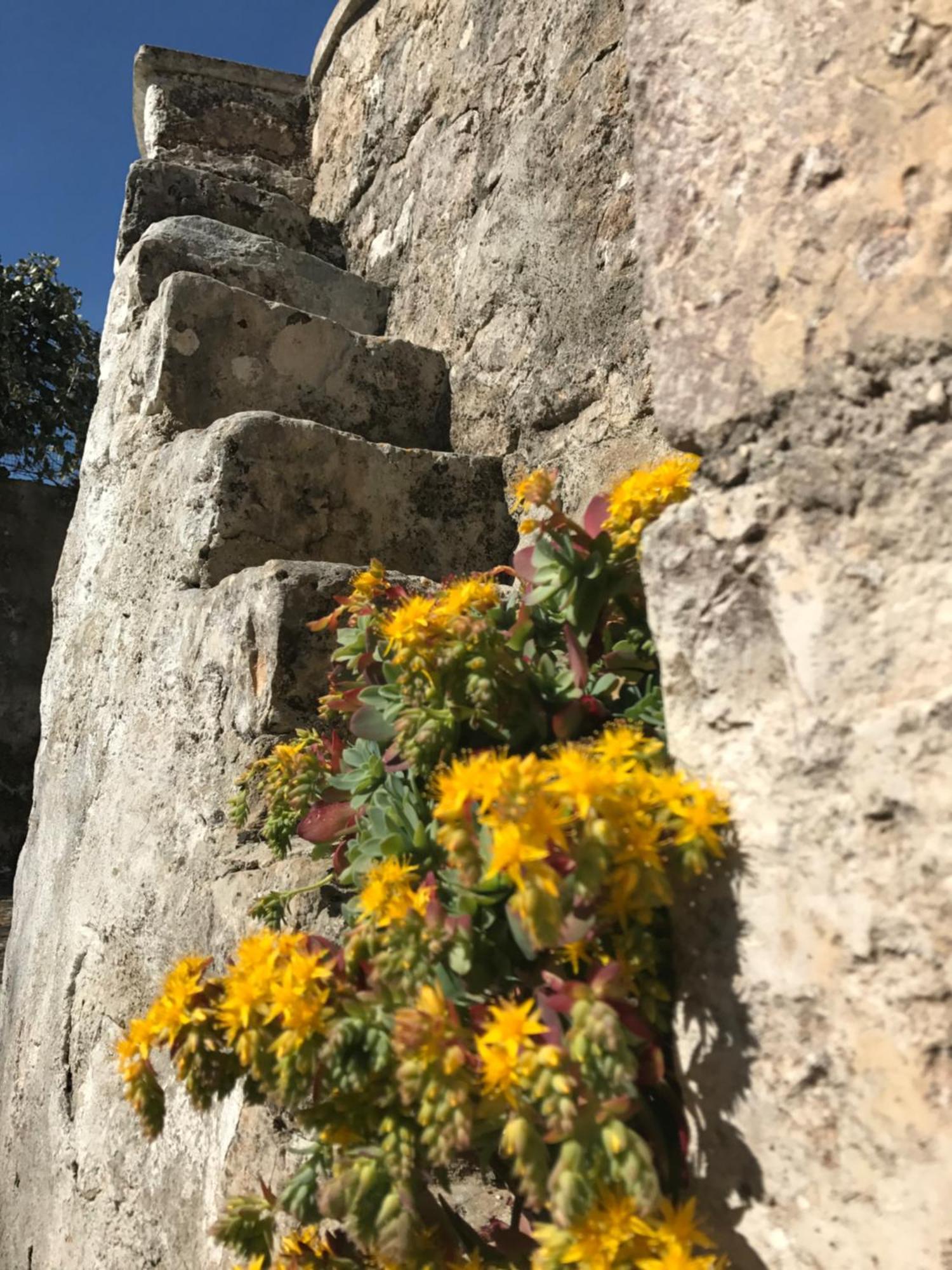 Agritrulli Guest House Ostuni Exterior photo